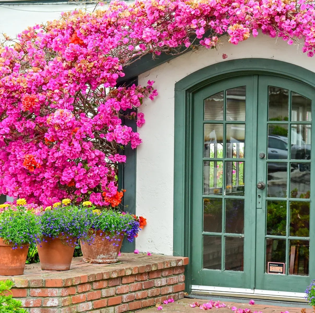 Various wooden doors and entryway foyers